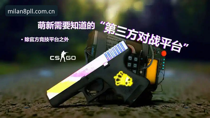 触手可及V3网页入口官方下载：官方版与第三方打包版，差距到底在哪？